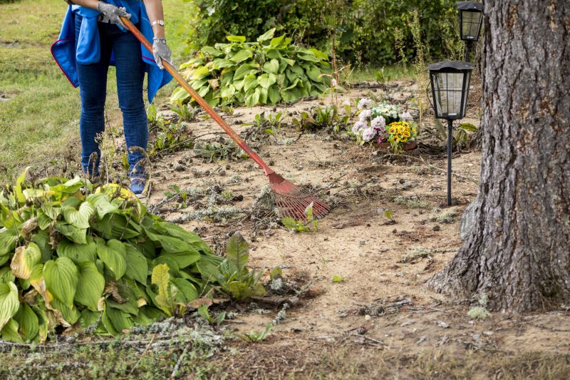 Efficient Dirt Removal