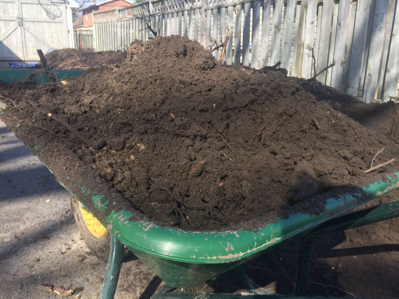 Dirt Removal Services