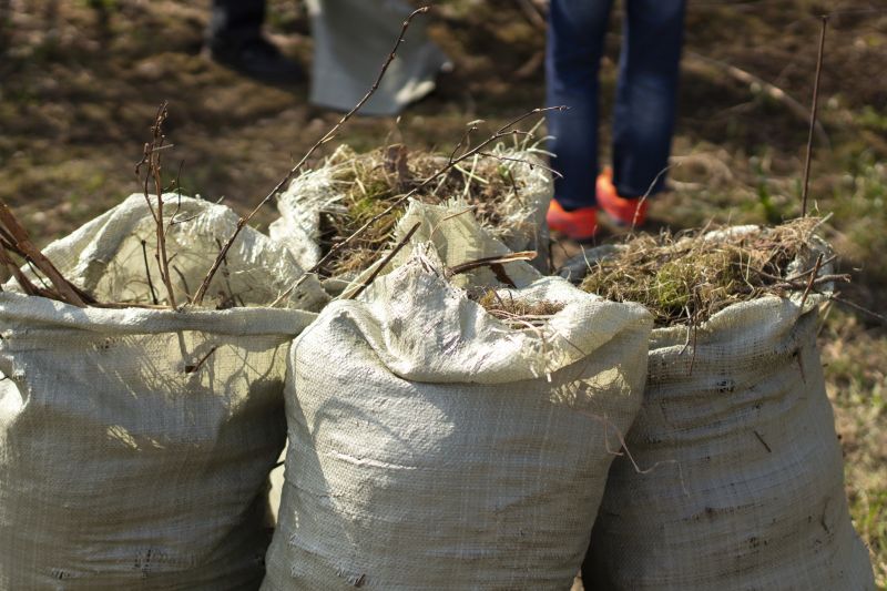 Dirt Removal Services